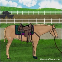 Horse Color:Chestnut Rabicano 