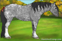 Horse Color:Blue Ice Roan 