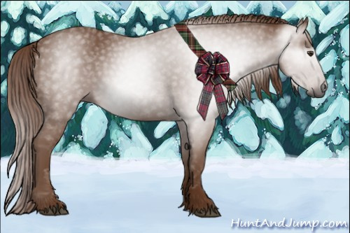 Horse Color:Gray Chestnut 