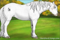 Horse Color:Platinum Chocolate Palomino Pearl Sabino Varnish 
