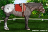 Horse Color:Platinum Liver Chestnut Appaloosa Rabicano 