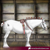 Horse Color:Platinum Chocolate Palomino Pearl Snowcap Rabicano 