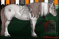 Horse Color:Platinum Red Dun Tobiano Varnish Rabicano 