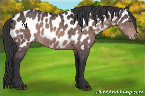 Horse Color:Platinum Bay Near Leopard 