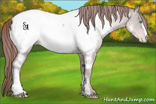 Horse Color:Platinum Buckskin Pearl Appaloosa Rabicano