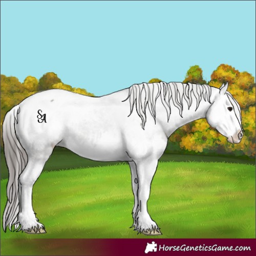 Horse Color:Platinum Grullo Splash Snowcap Rabicano