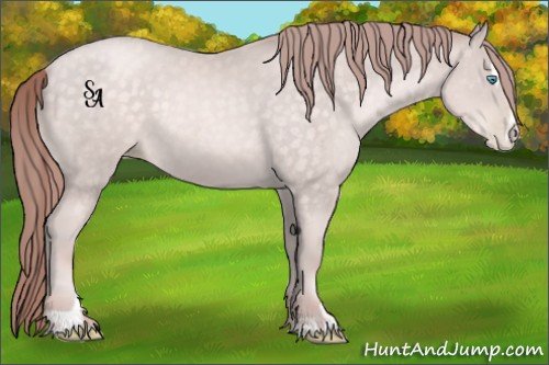 Horse Color:Platinum Buckskin Pearl Sabino