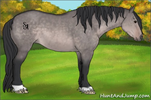 Horse Color:Platinum Brown Dun 