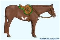 Horse Color:Chestnut Splash Frame