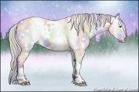 Horse Color:Nacre White Spotted Silver Bay Chinchilla Sabino