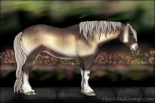 Horse Color:Silver Brown Onyx