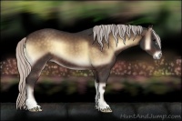 Horse Color:Silver Brown Onyx 