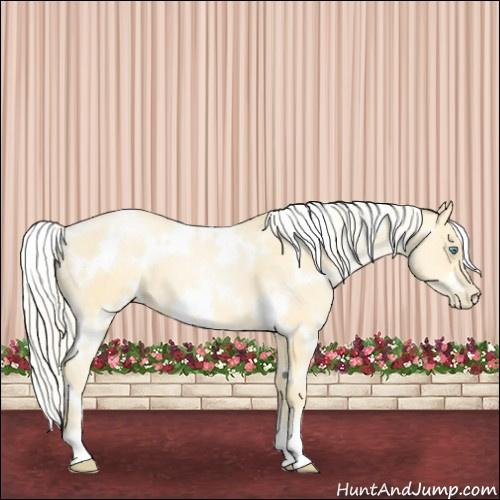 Horse Color:White Spotted Palomino Pearl 