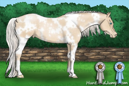 Horse Color:White Spotted Palomino Pearl 