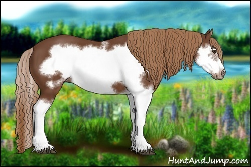 Horse Color:Chestnut Splash Frame