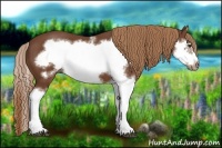 Horse Color:Chestnut Splash Frame