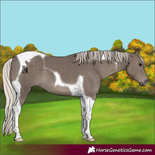 Horse Color:Silver Black Tobiano