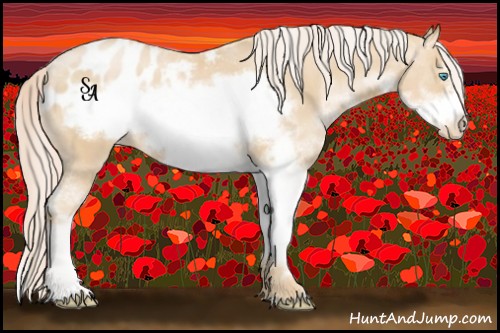 Horse Color:Palomino Pearl Sabino Frame Blanket