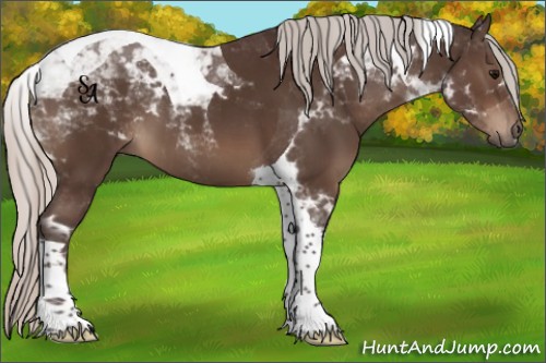 Horse Color:Silver Brown Tobiano 