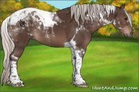 Horse Color:Silver Brown Tobiano 
