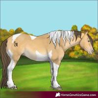 Horse Color:Amber Cream Champagne Tobiano 