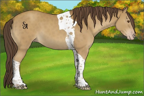 Horse Color:Classic Cream Champagne Tobiano 