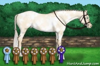 Horse Color:White Spotted Palomino Pearl Dun 