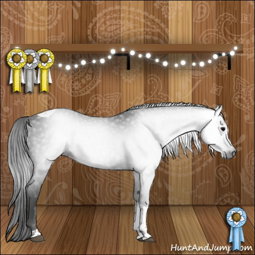 Horse Color:Gray Black Tobiano 