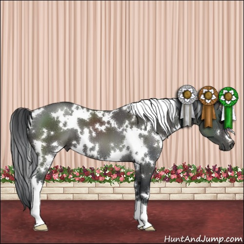 Horse Color:White Spotted Black 