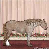 Horse Color:Liver Red Dun 