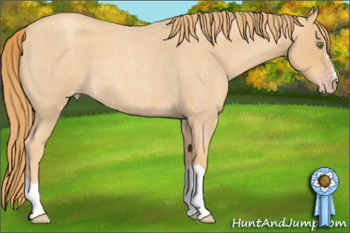 Horse Color:Gold Champagne Roan 