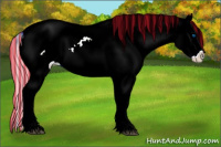 Horse Color:Painted Silver Brown Splash Appaloosa 