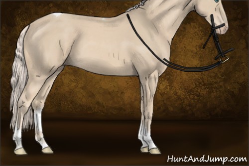 Horse Color:Cremello Tobiano Rabicano 