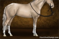 Horse Color:Chocolate Palomino Pearl Tobiano 