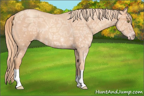 Horse Color:Gold Champagne Ice Roan