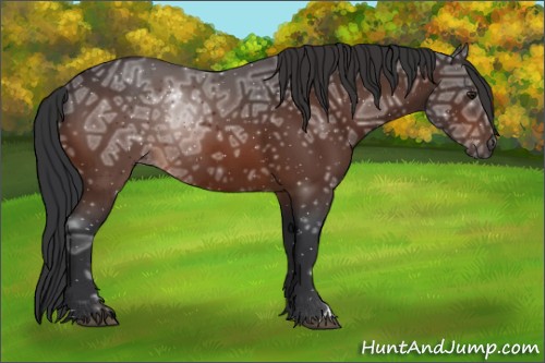 Horse Color:Brown Ice 