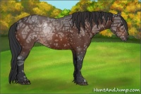 Horse Color:Brown Ice
