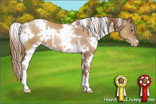 Horse Color:White Spotted Liver Chestnut Pearl