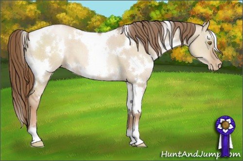 Horse Color:White Spotted Liver Red Dun Pearl 