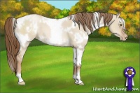 Horse Color:White Spotted Liver Red Dun Pearl 