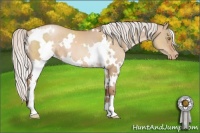 Horse Color:White Spotted Silver Bay Pearl Dun 
