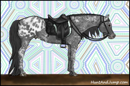 Horse Color:Black Ice Appaloosa 