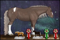 Horse Color:Silver Black Appaloosa 
