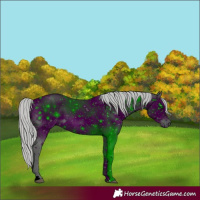 Horse Color:ERROR: UNKNOWN ANOMALY
