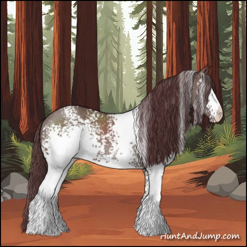 Horse Color:White Spotted Chocolate Grullo 