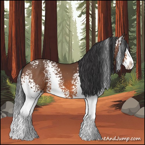 Horse Color:White Spotted Bay Splash 