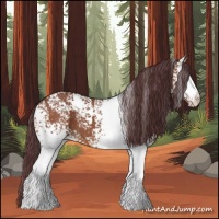 Horse Color:White Spotted Chocolate Bay 