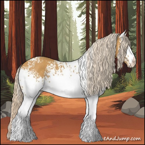 Horse Color:White Spotted Palomino 