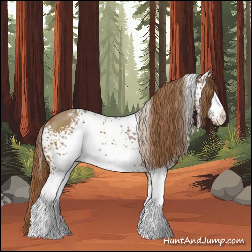 Horse Color:White Spotted Chestnut 