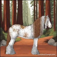 Horse Color:White Spotted Chestnut 
